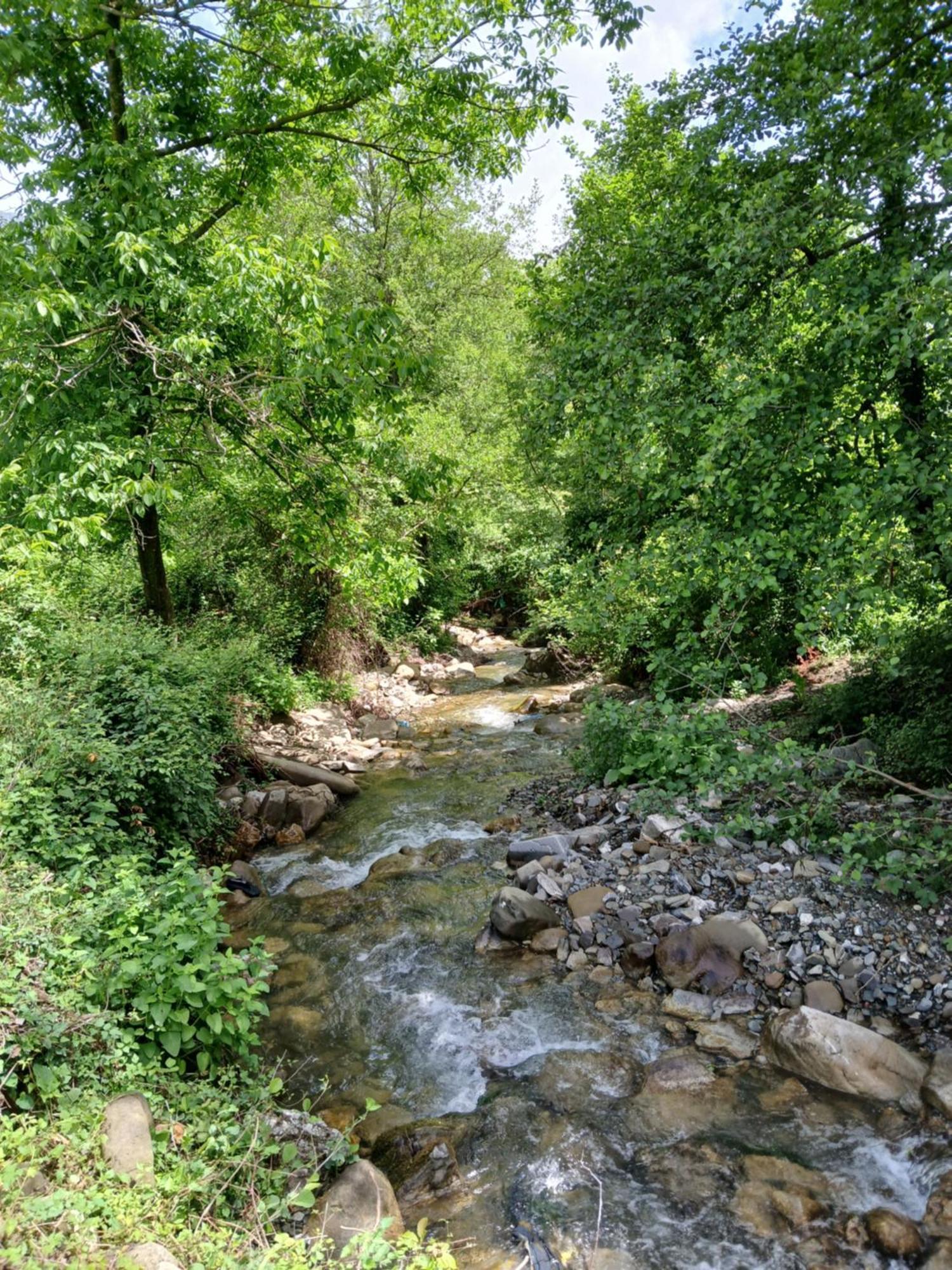 מלון Priska e Madhe Bujtina Tusha מראה חיצוני תמונה